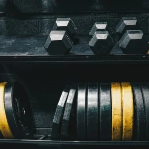 סדנת האימונים המדעית לבניית שרירים