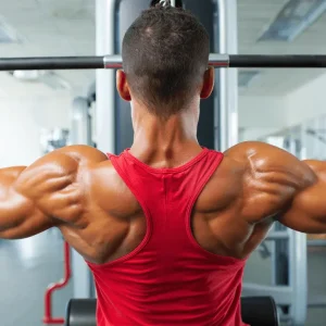 תוכנית אימון כללית למסה על פי עקרונות מדעיים חדשים