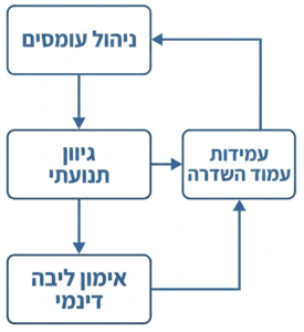 דדליפט עם גב עגול